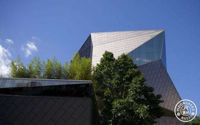 Modern building consisting of metal and glass polygons interrupted by big green tree against a blue sky